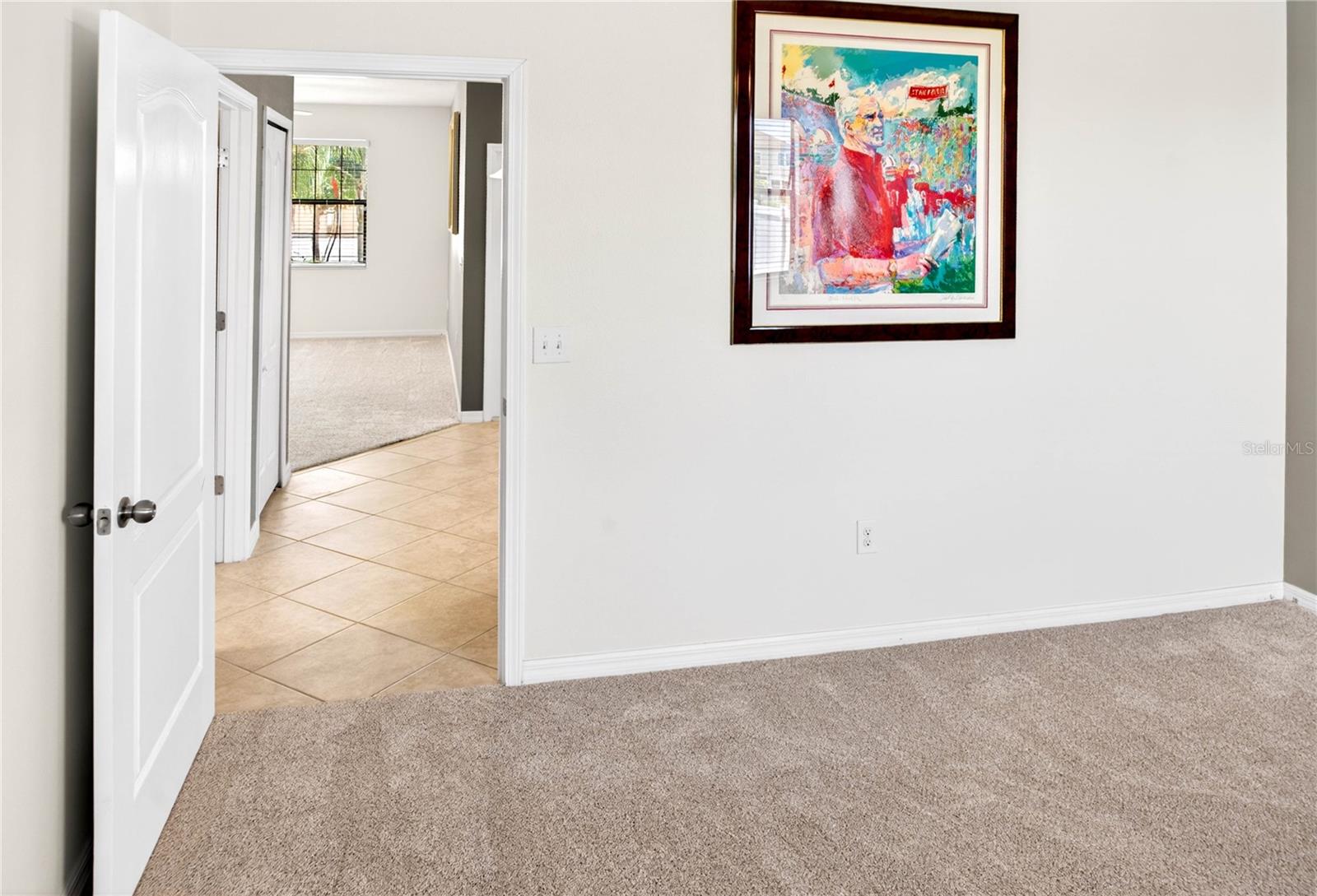 13415 WHITE SAPPHIRE RD — photo 38