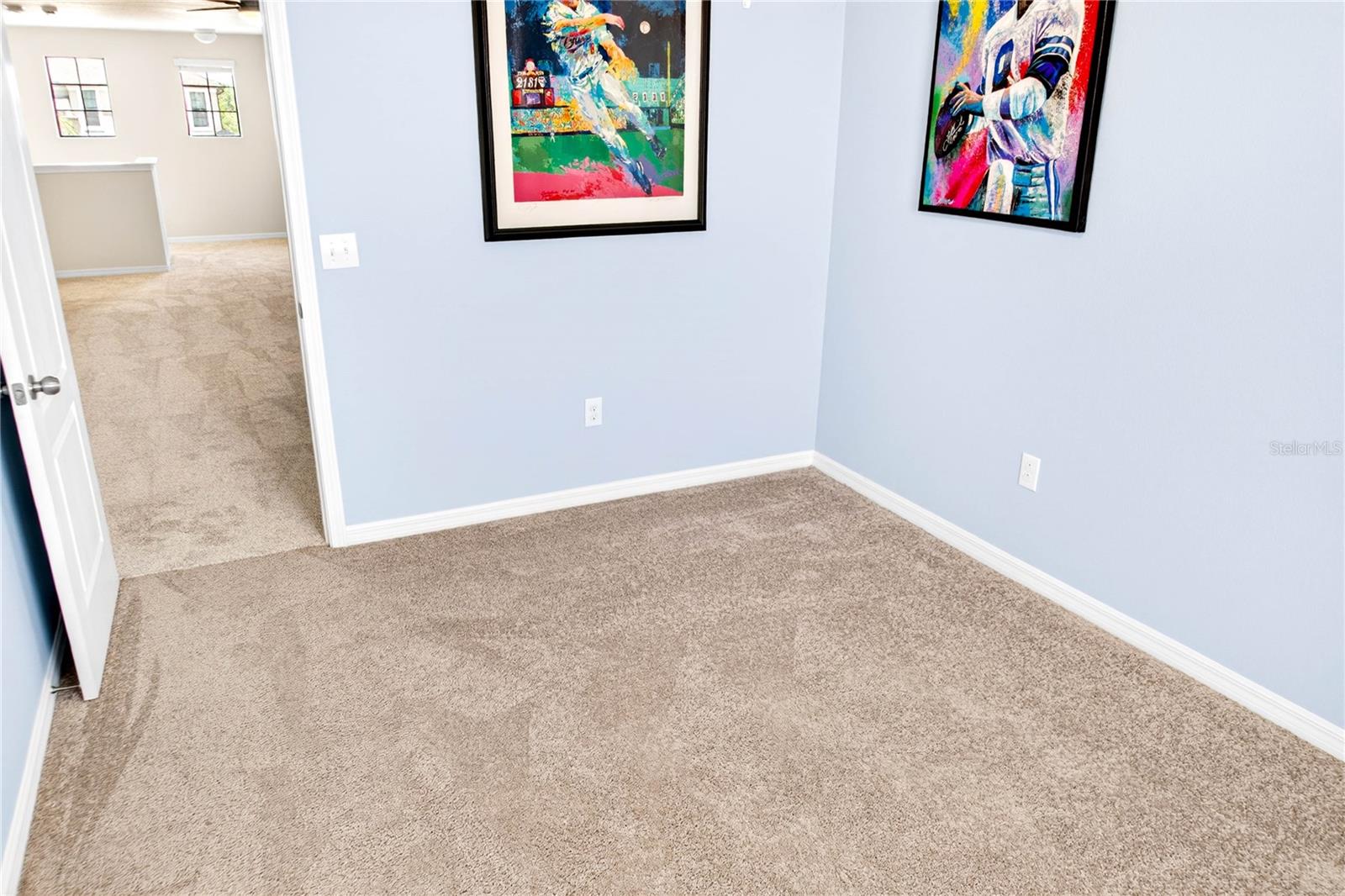 13415 WHITE SAPPHIRE RD — photo 61