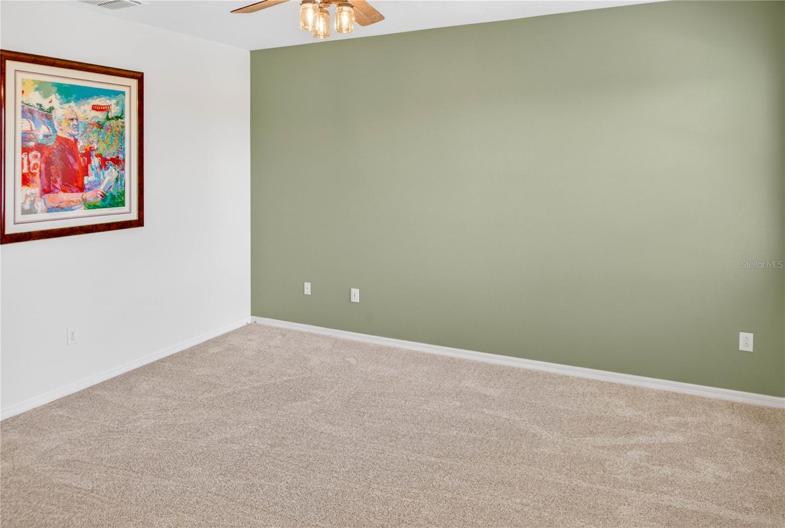 13415 WHITE SAPPHIRE RD — photo 33