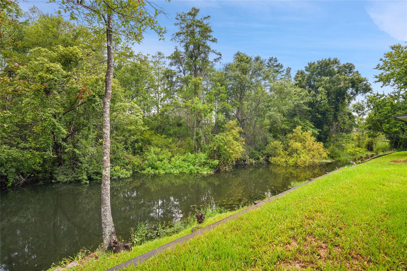 7245 CLEOPATRA DR — photo 4