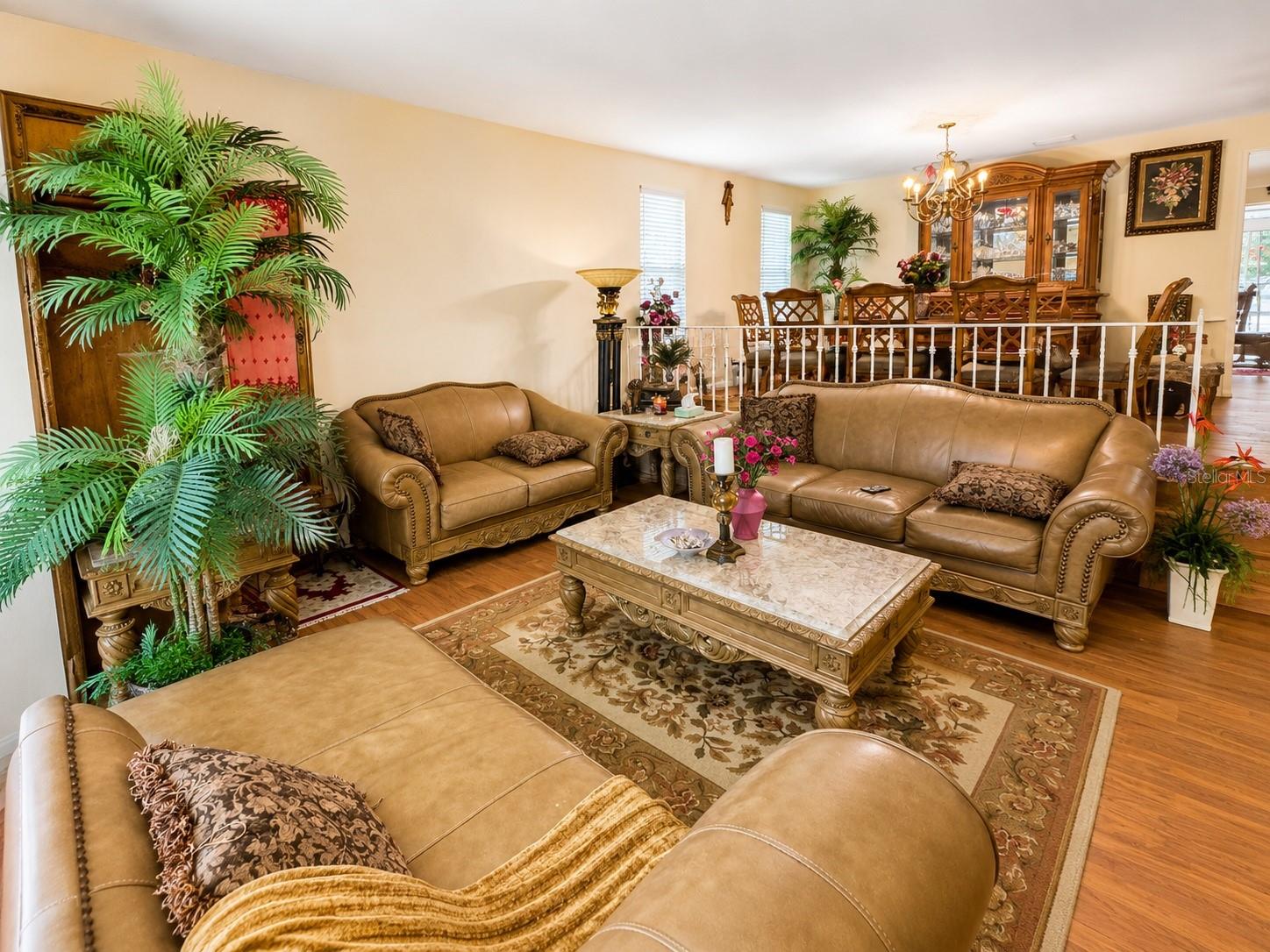 3146 CARLOS DR — photo 5