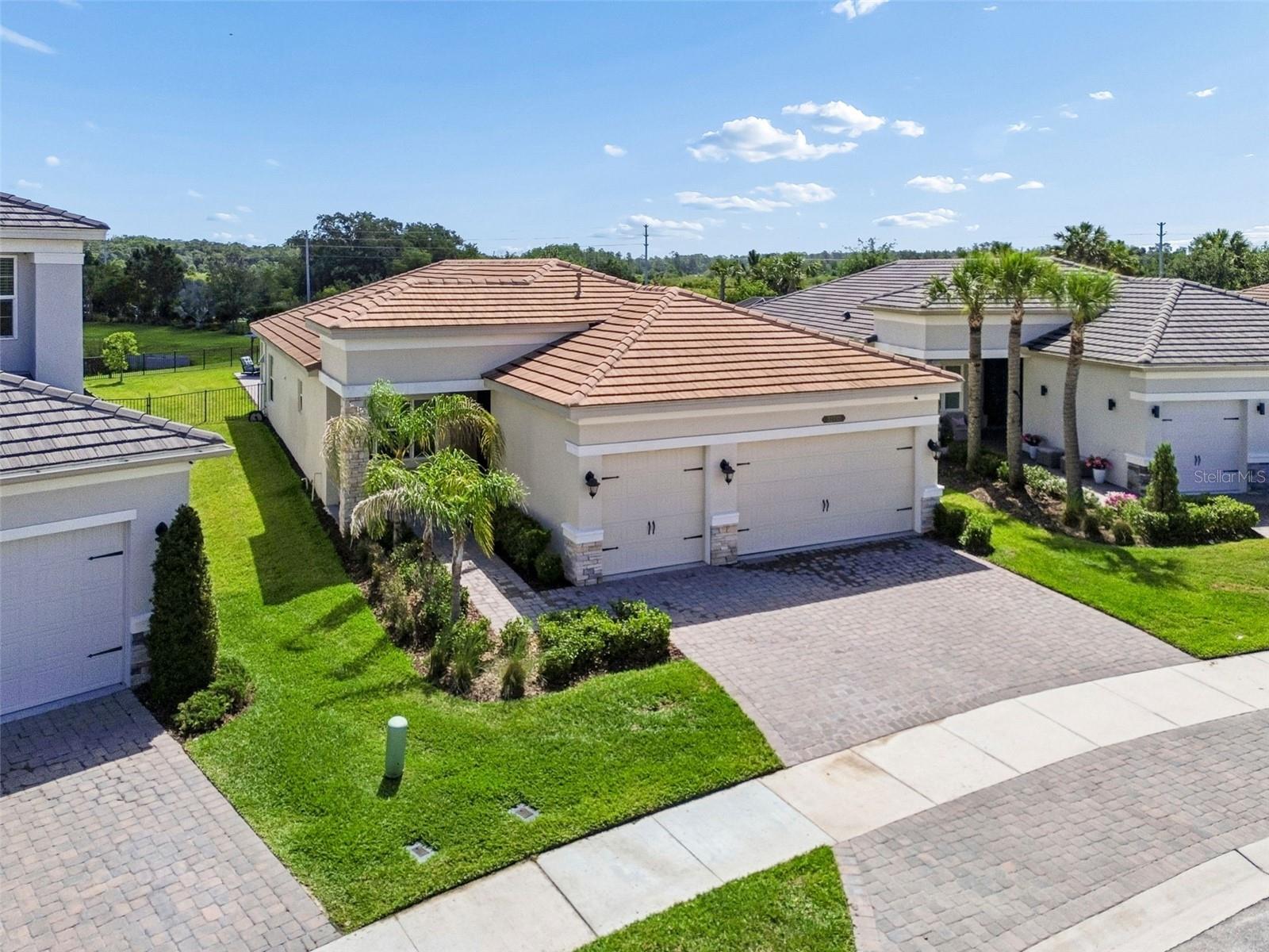 32732 TREE OF LIFE AVE — photo 46