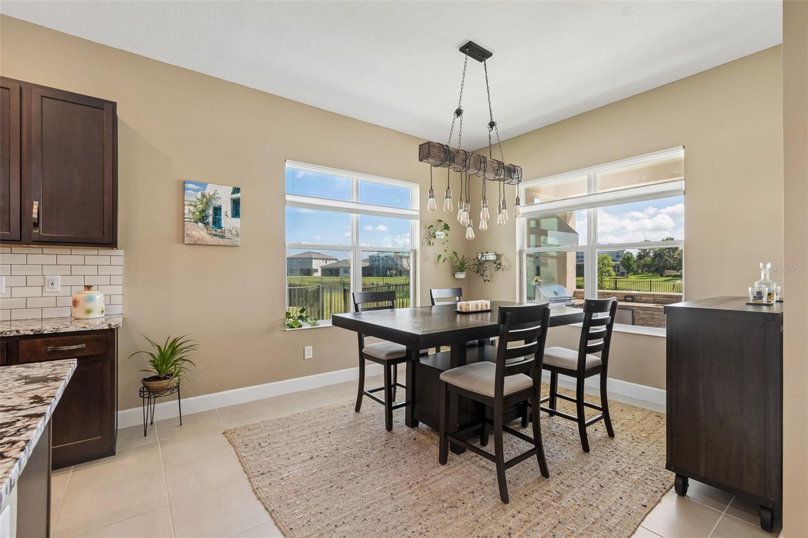 32732 TREE OF LIFE AVE — photo 15