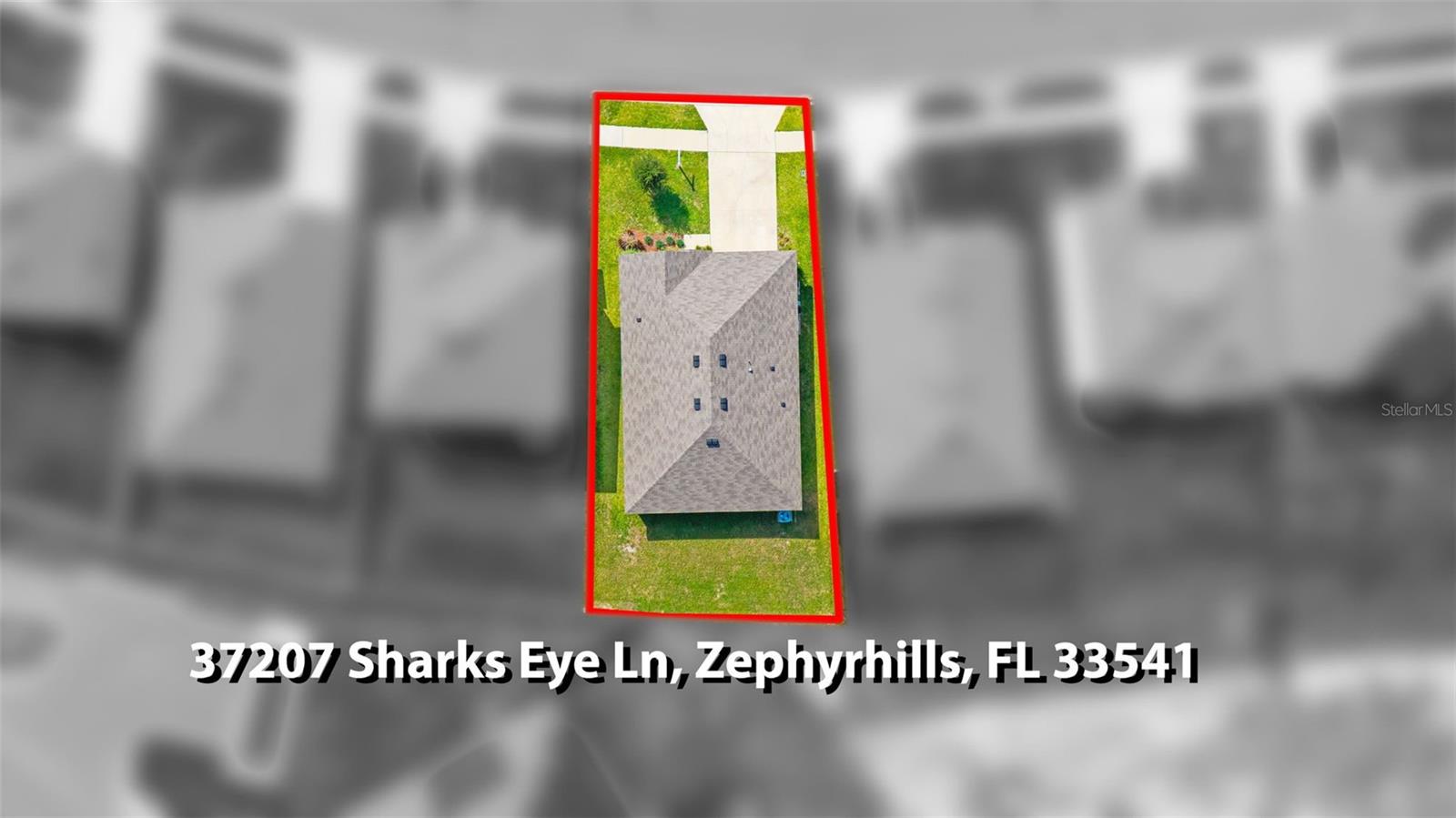 37207 SHARKS EYE LN — photo 42