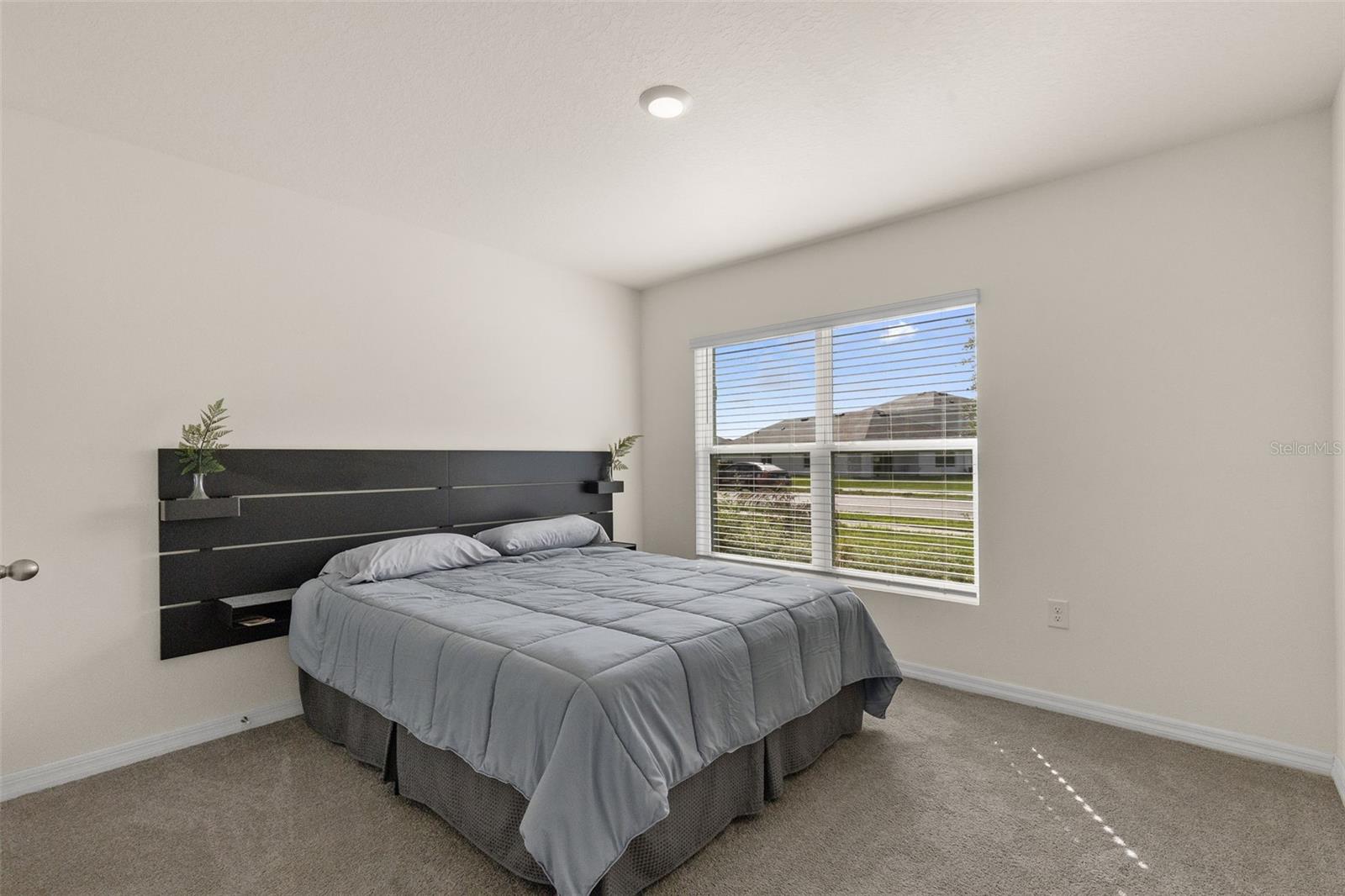37207 SHARKS EYE LN — photo 5