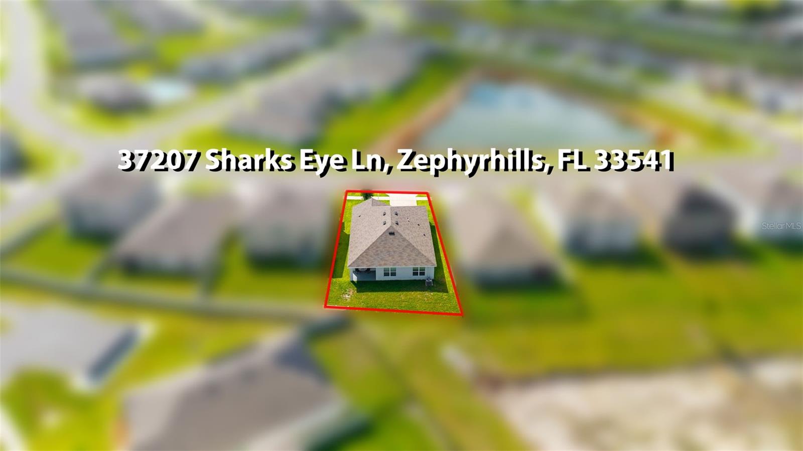 37207 SHARKS EYE LN — photo 44