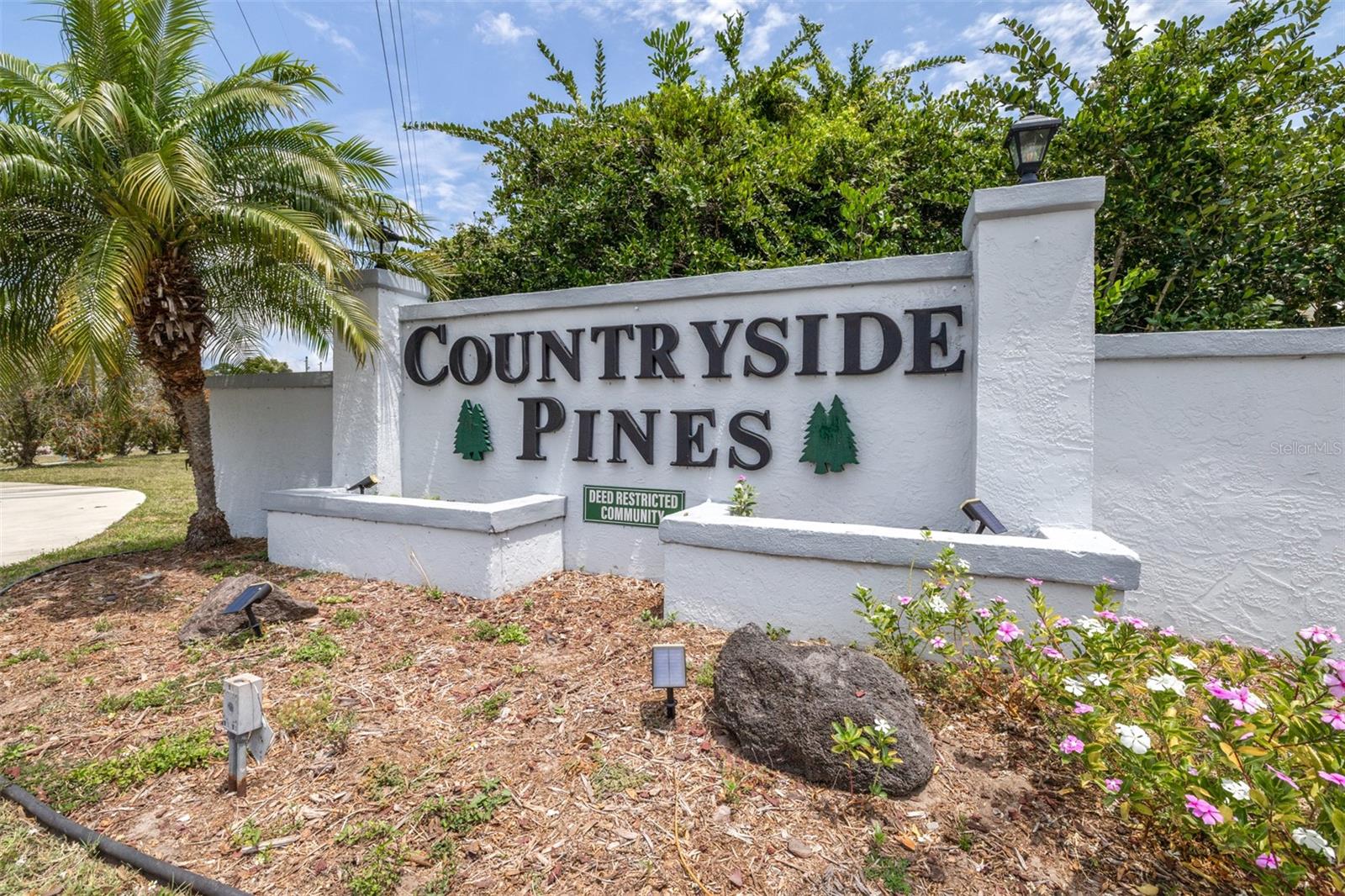 2538 COUNTRYSIDE PINES DR — photo 48