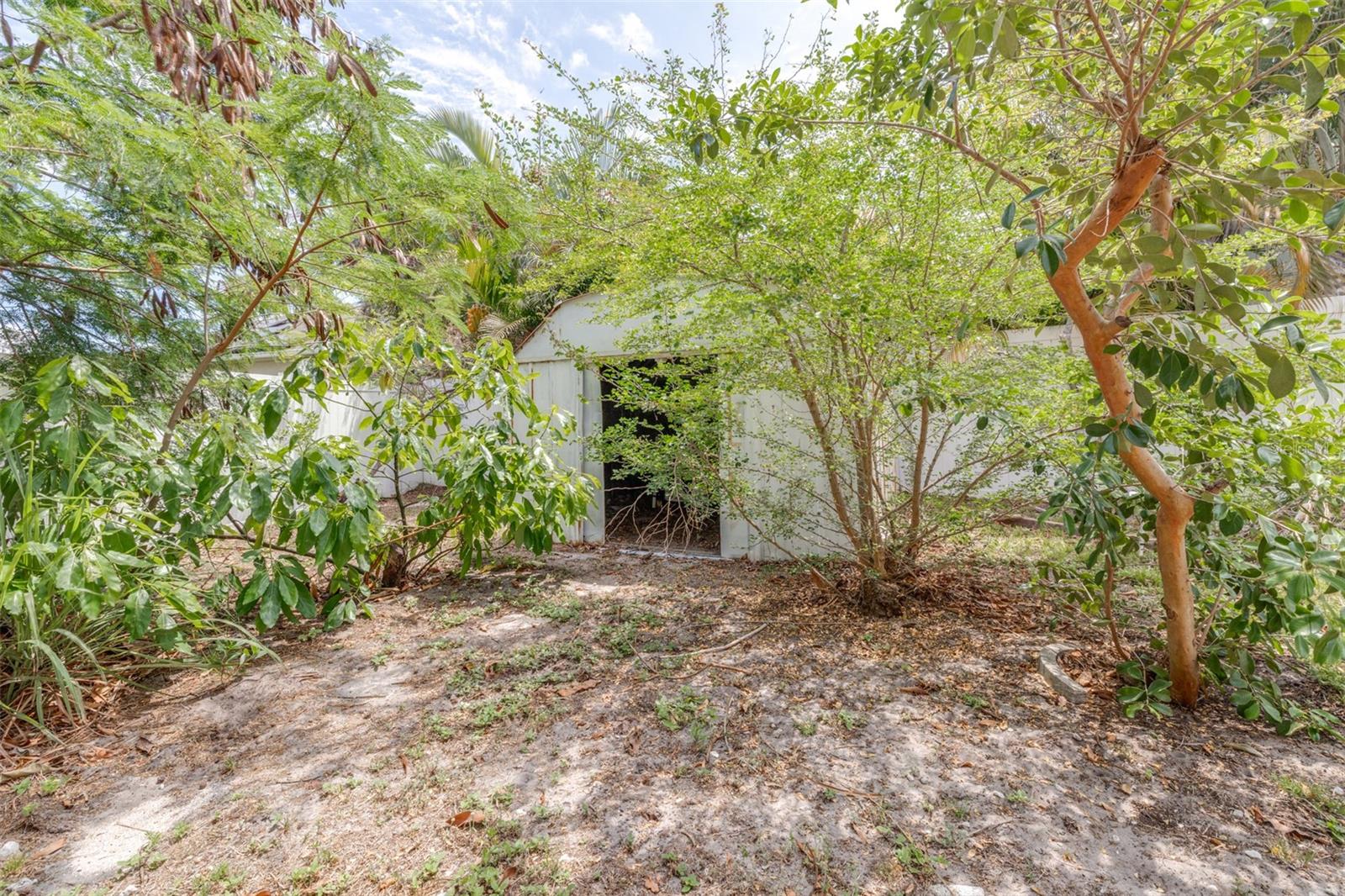 2538 COUNTRYSIDE PINES DR — photo 47