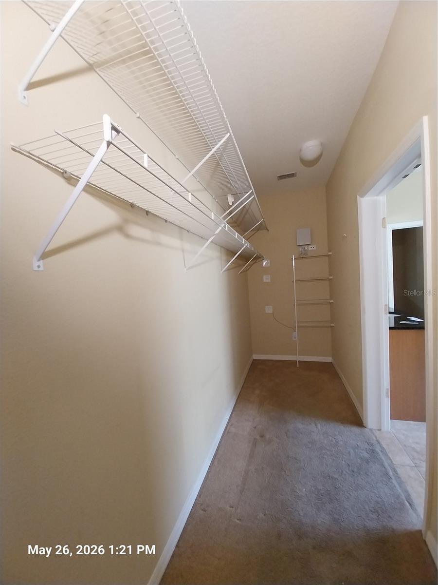 2228 PARROT FISH DR — photo 9