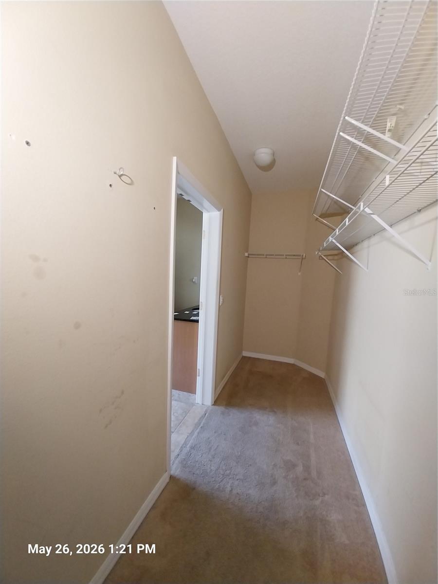 2228 PARROT FISH DR — photo 10