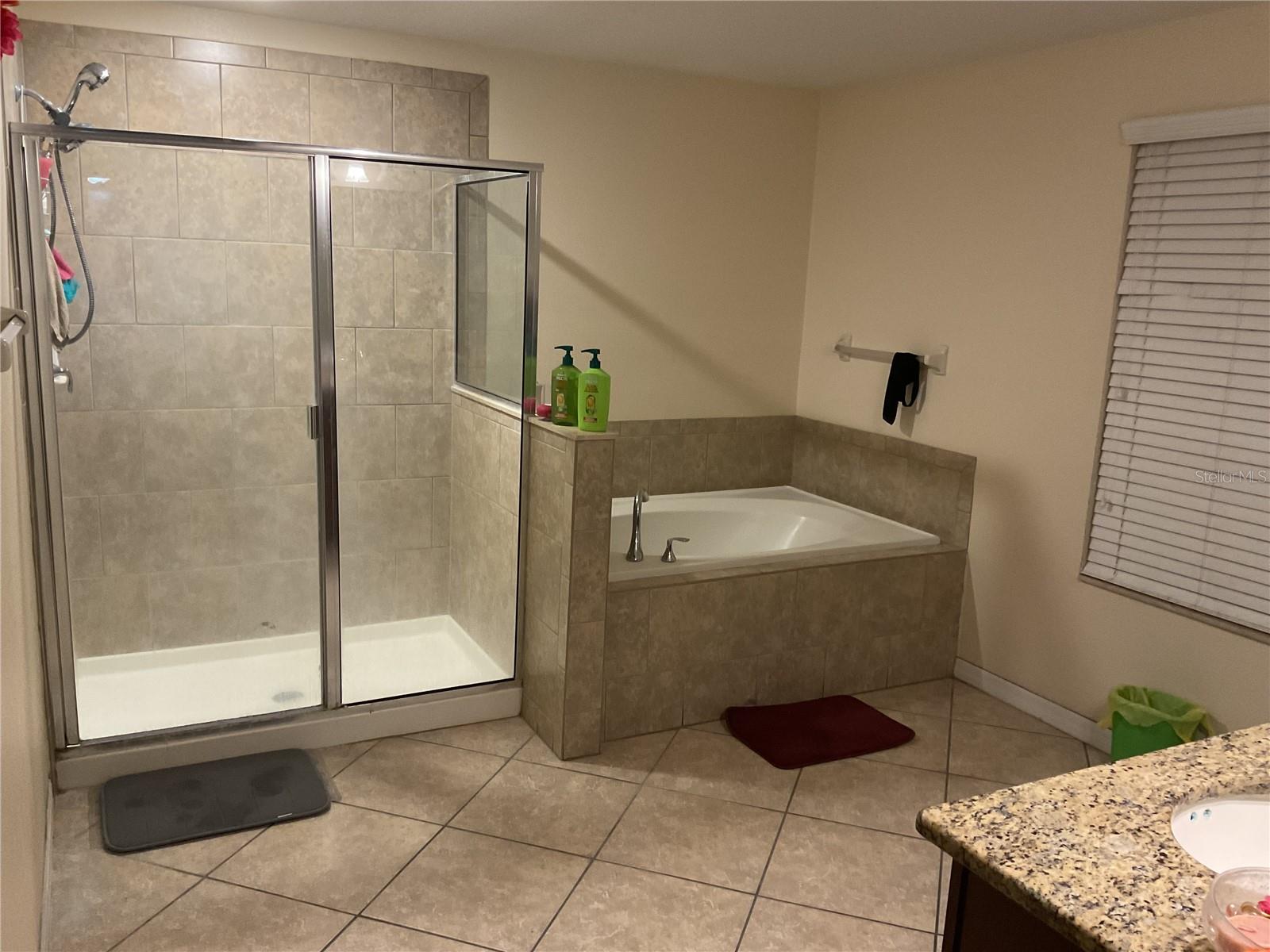 11007 STANDING STONE DR — photo 12