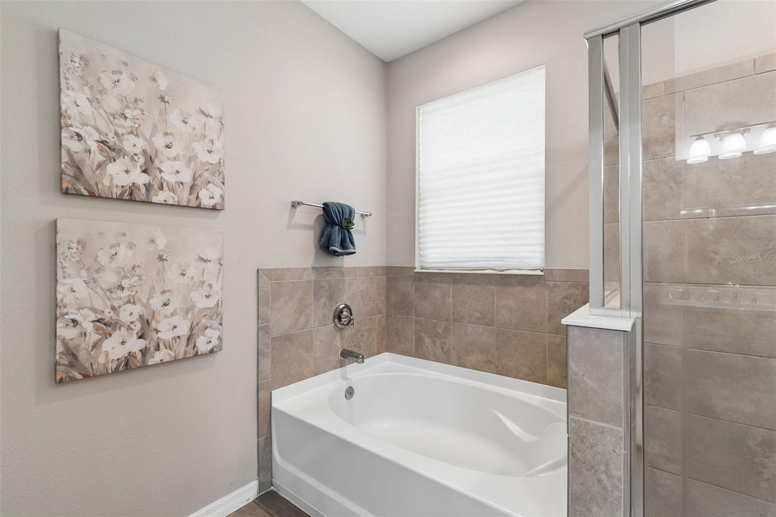 12507 CANDLEBERRY CIR — photo 36