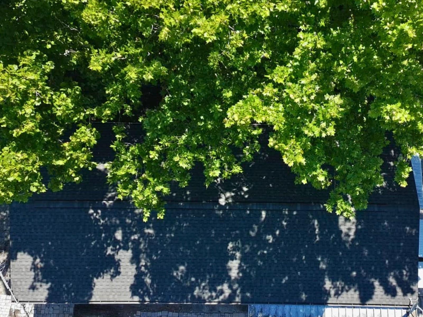 7101 JEANNE AVE — photo 24