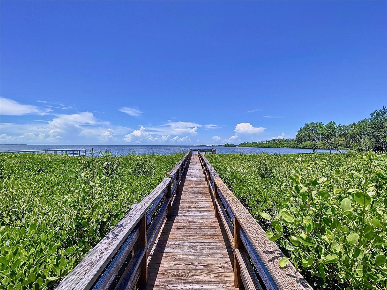 511 SEAVIEW DR — photo 43