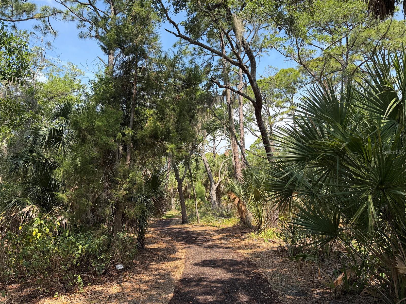 Lot 8 & 9 NUTMEG AVE — photo 26