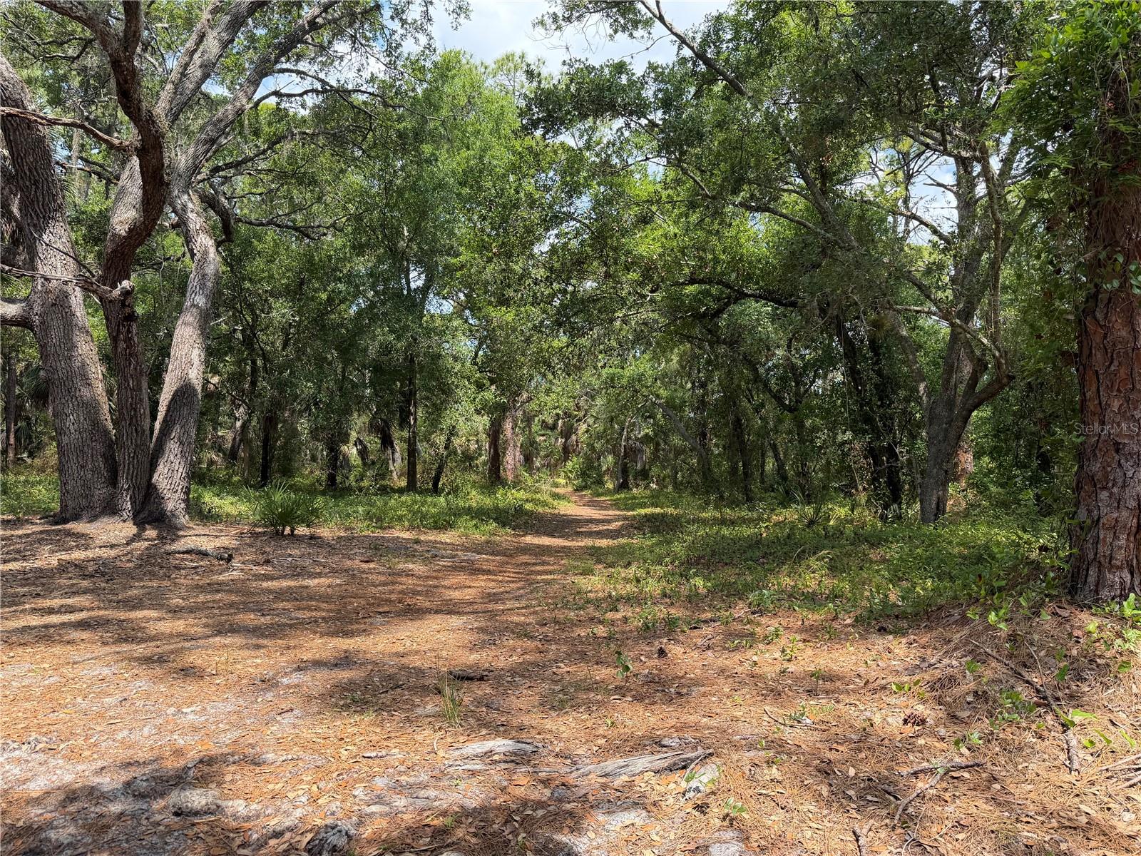 Lot 8 & 9 NUTMEG AVE — photo 23