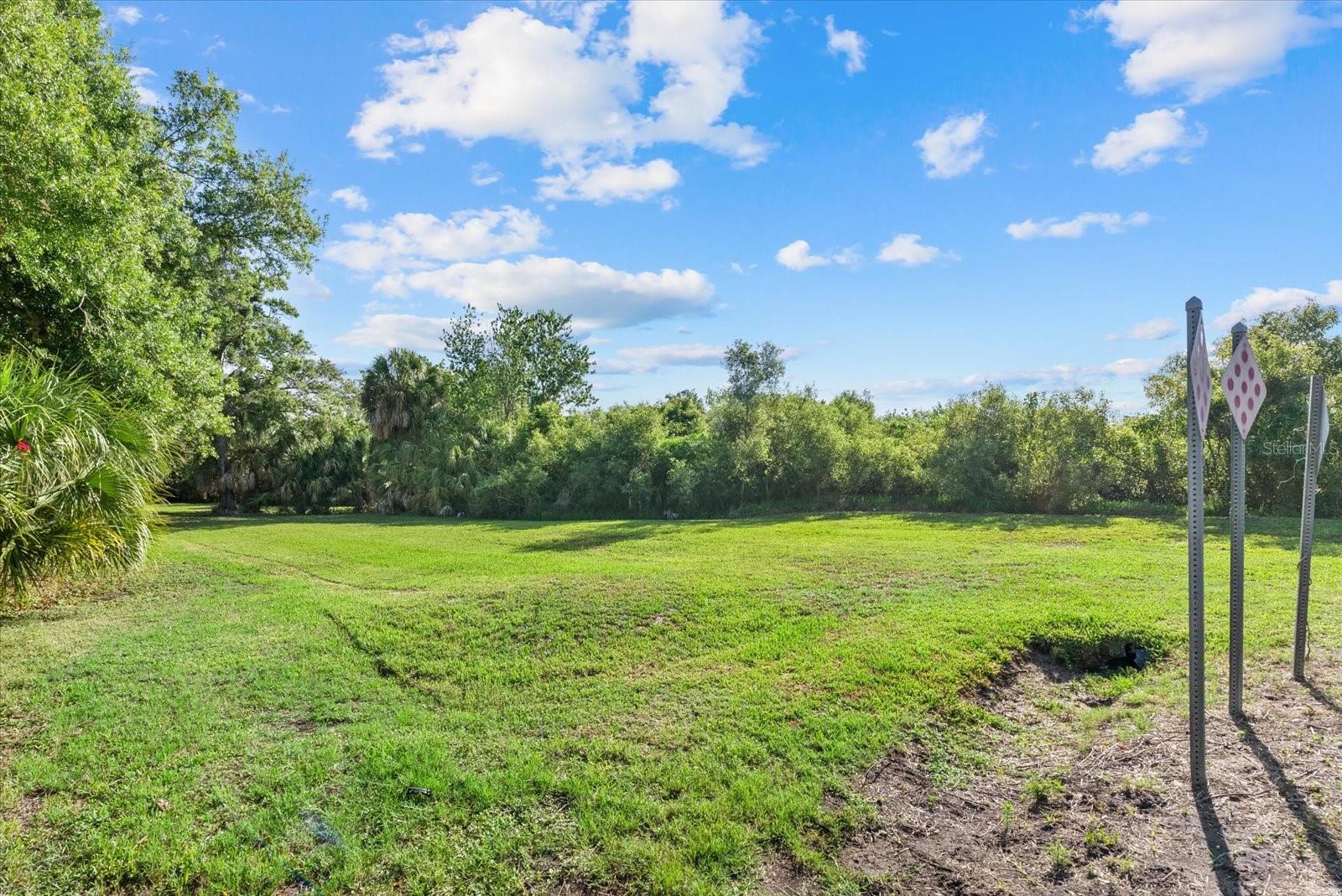 Lot 8 & 9 NUTMEG AVE — photo 13