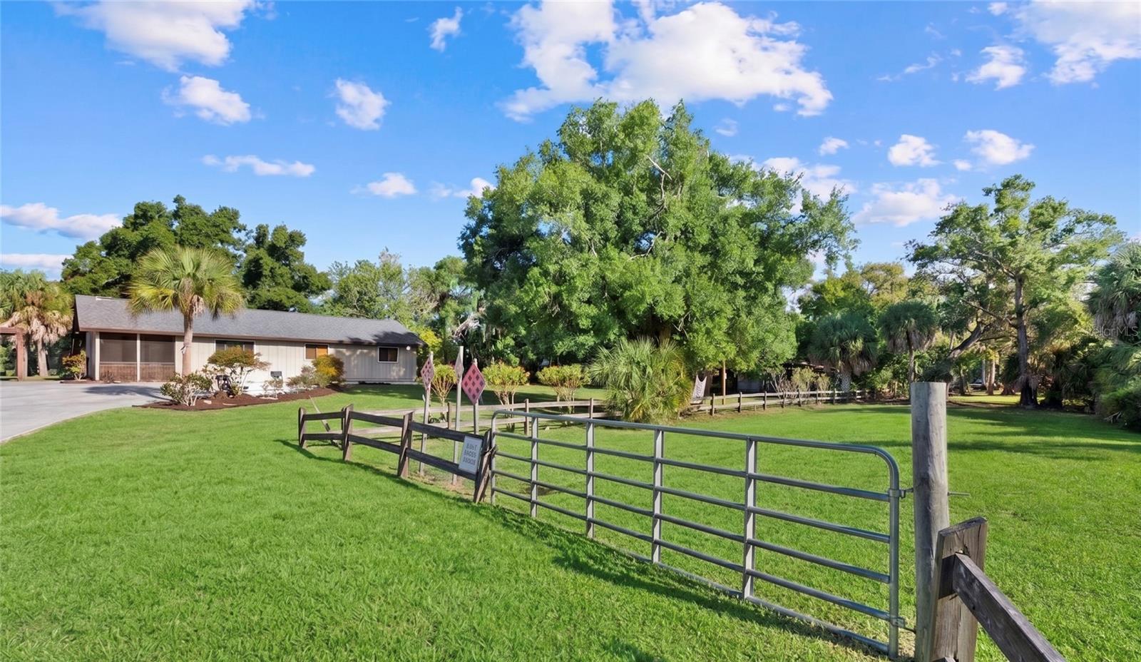 Lot 8 & 9 NUTMEG AVE — photo 4