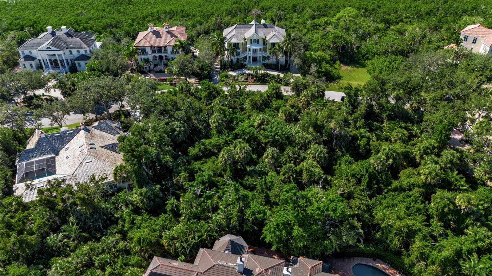 143 OSPREY POINT DR — photo 11