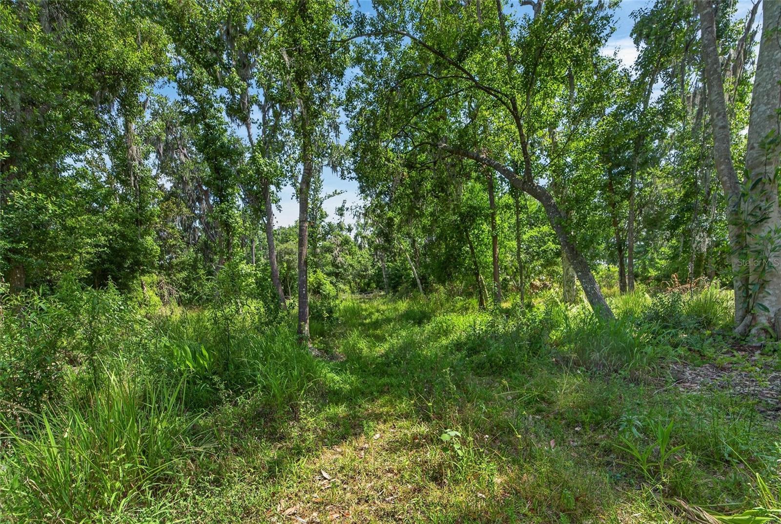 672 HWY — photo 18