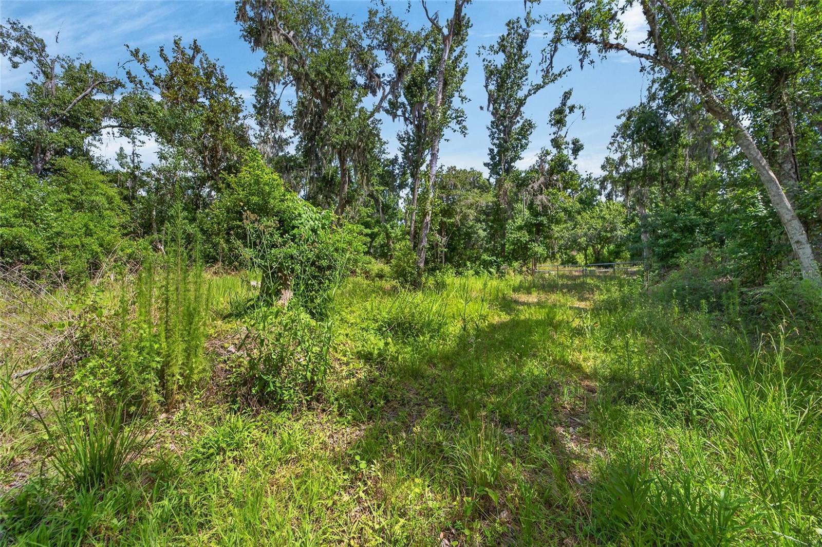 672 HWY — photo 17