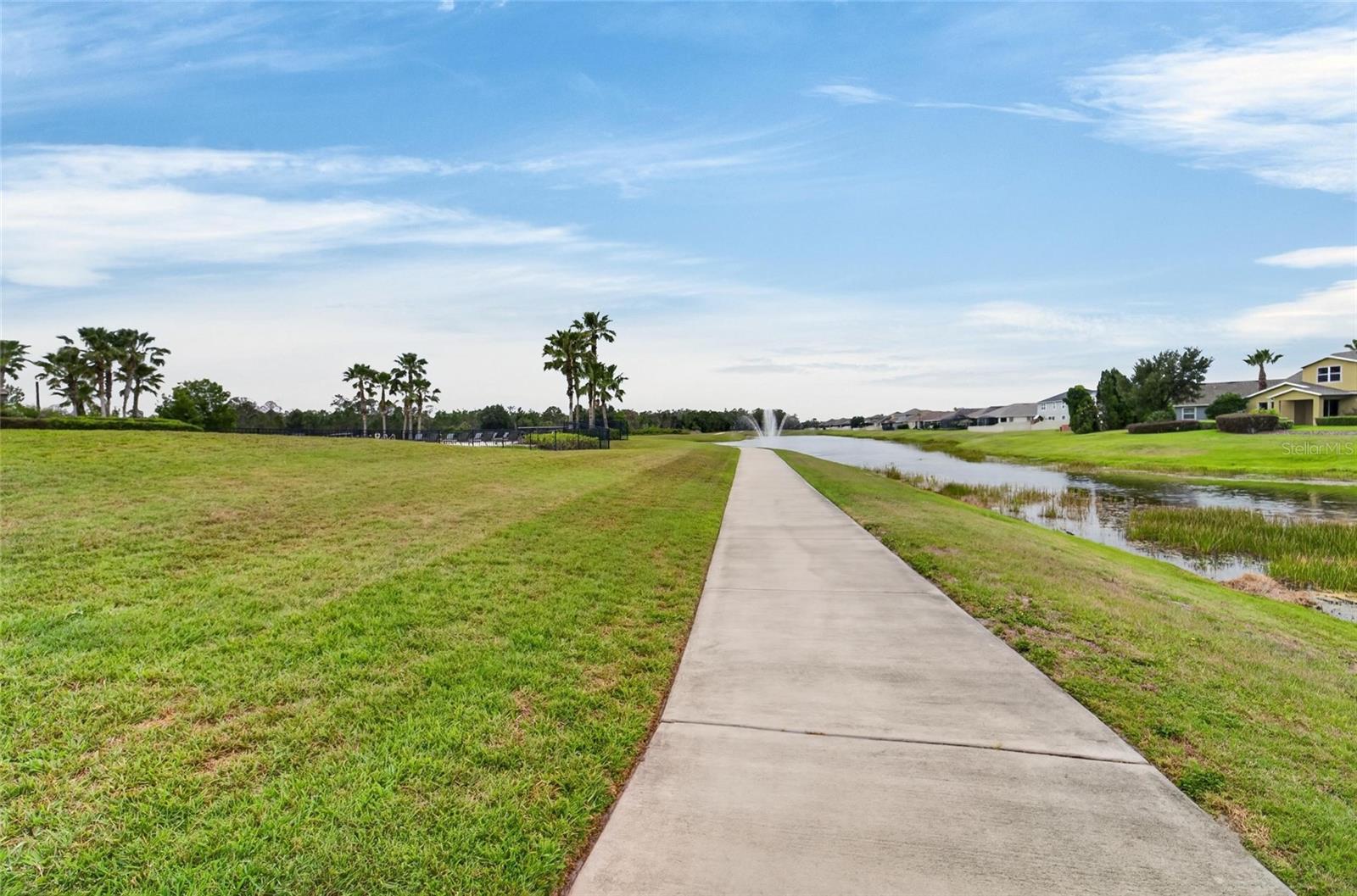 13519 PALMERA VISTA DR — photo 59
