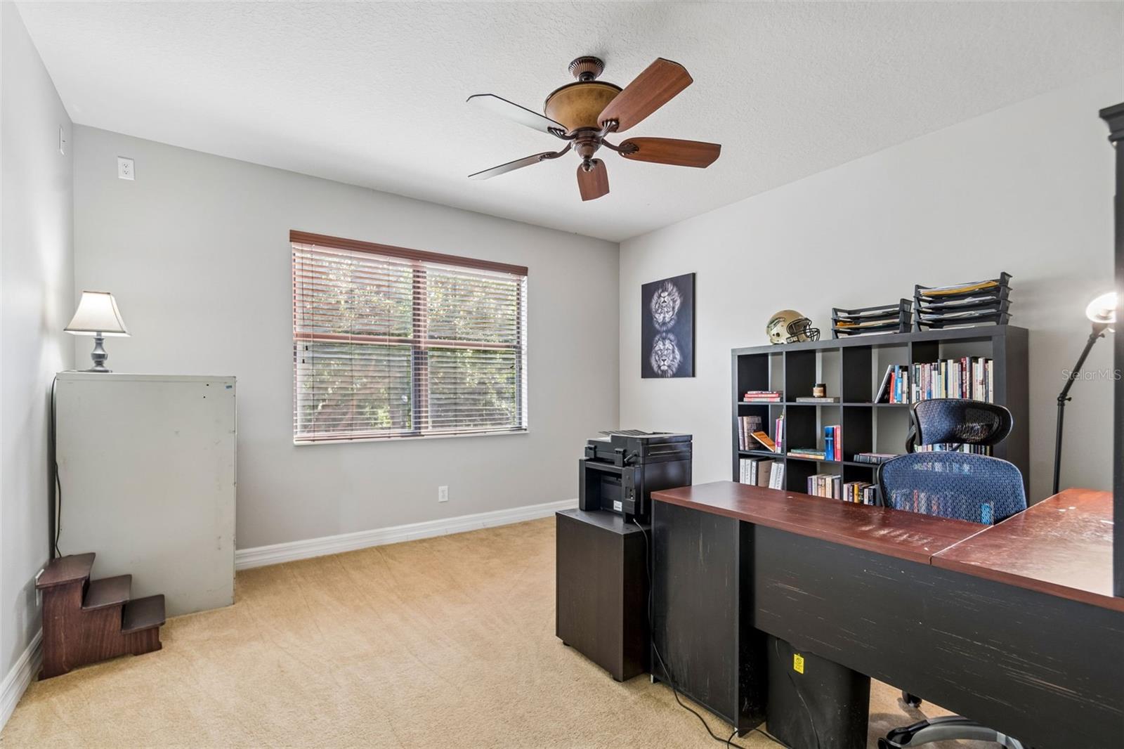 3654 BALLASTONE DR — photo 49