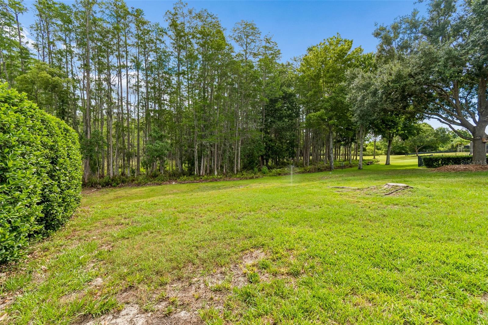 3654 BALLASTONE DR — photo 87