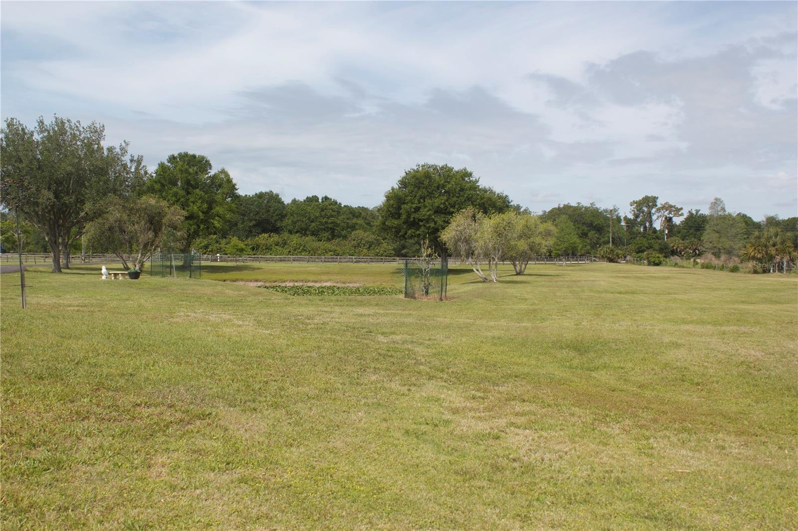 803 BEL AIR STAR PKWY — photo 21