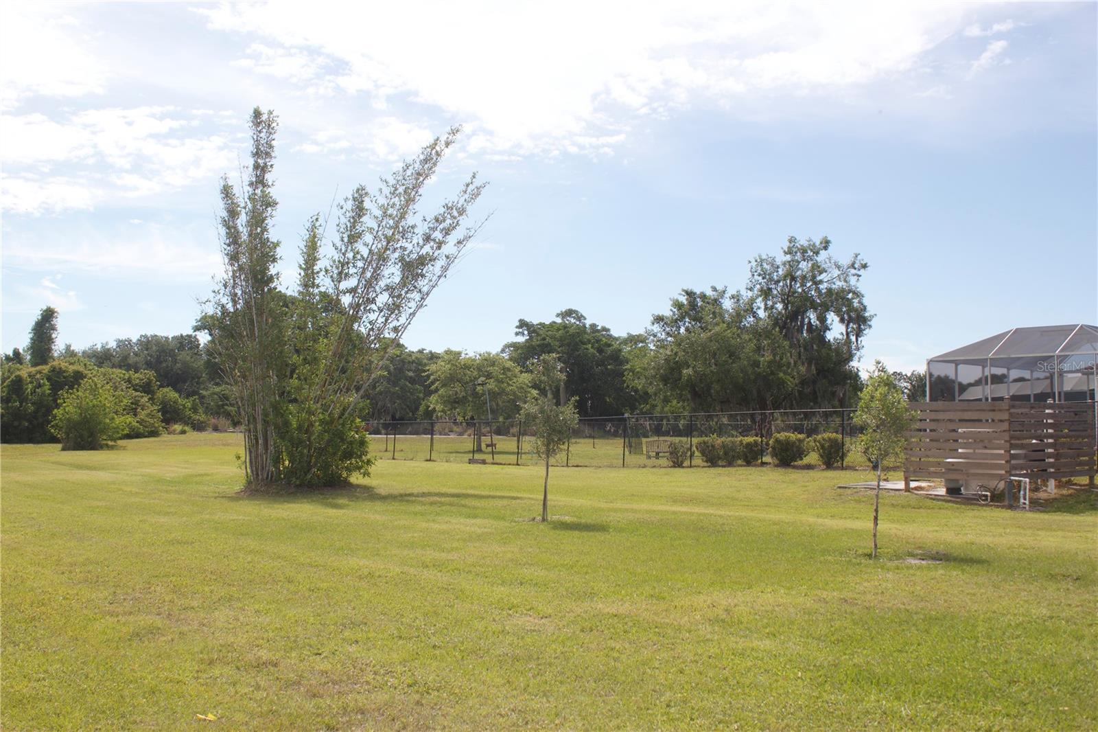 803 BEL AIR STAR PKWY — photo 25