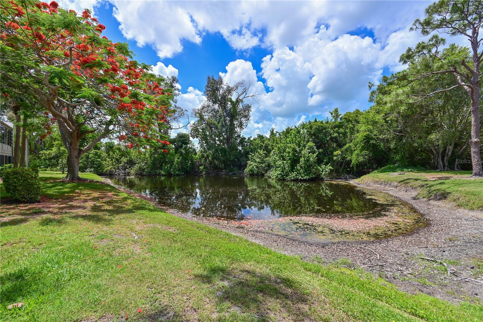 609 WOODLAWN DR — photo 24