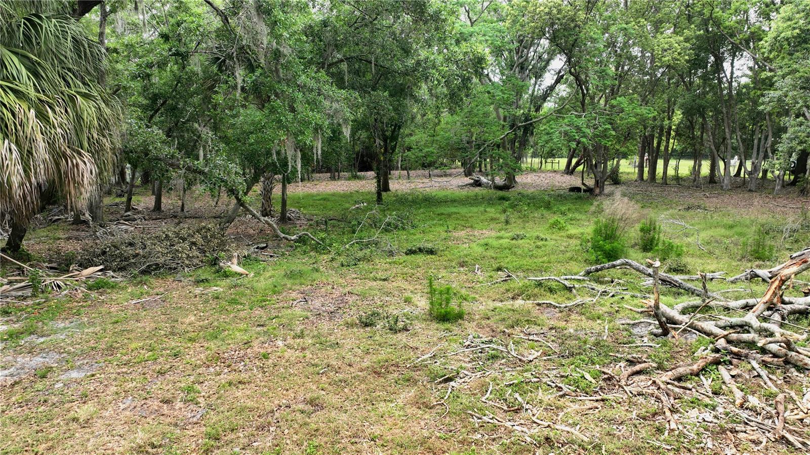 OLD CONE GROVE ROAD — photo 5