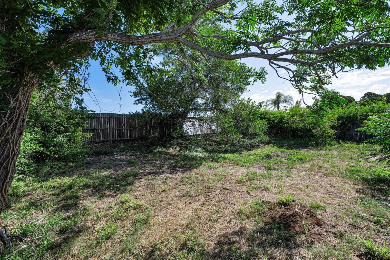 3541 BIGELOW DR — photo 31