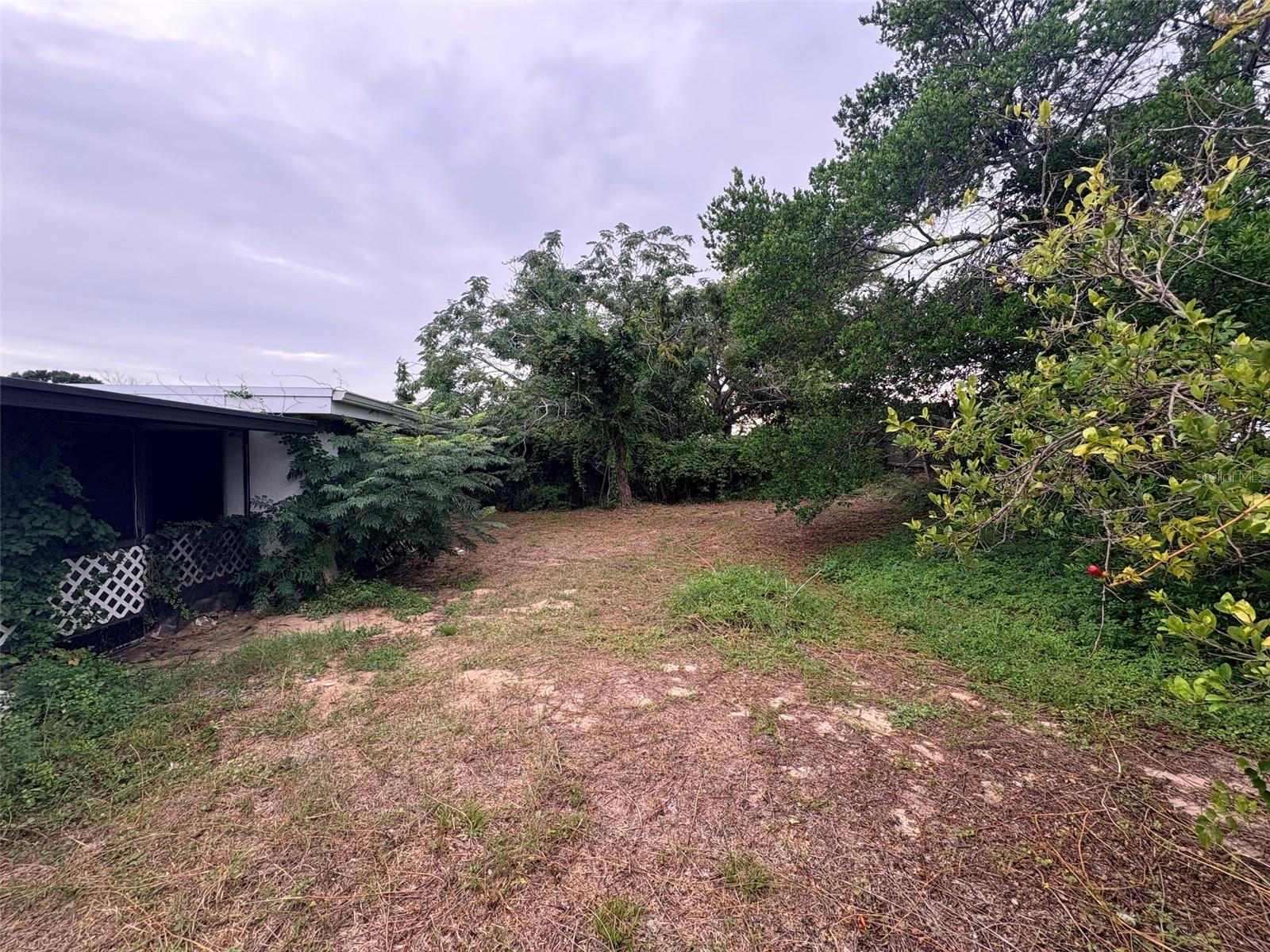 3541 BIGELOW DR — photo 34
