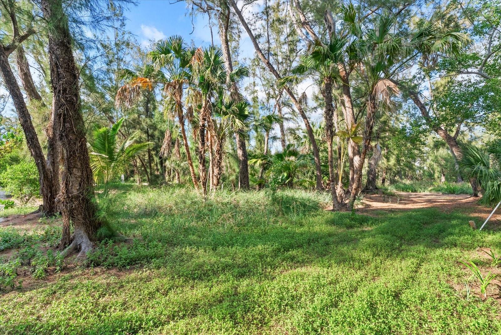 7143 LA LENAIRE DR — photo 65