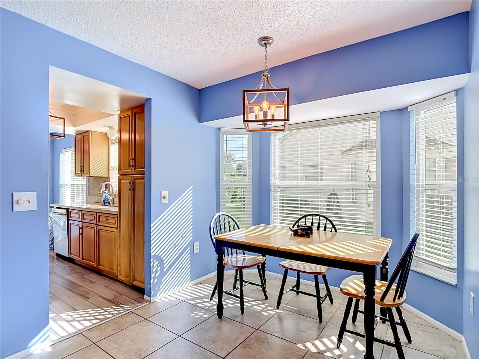11543 ORLEANS LN — photo 7