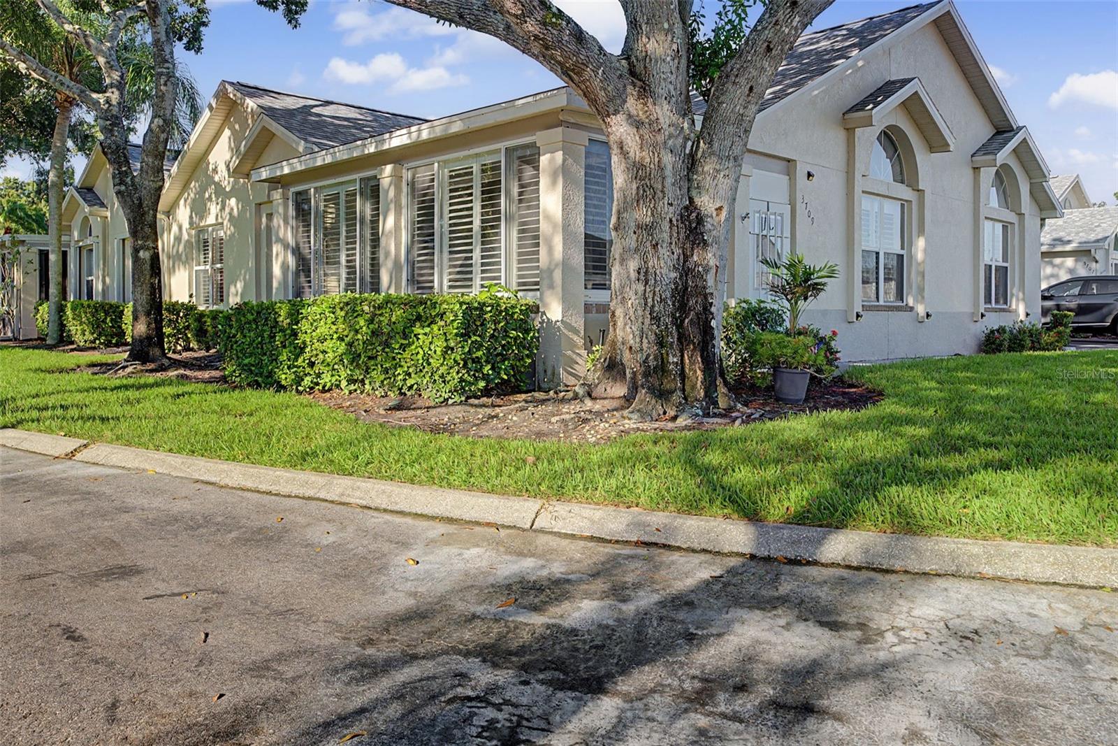 3709 MOLLIE LN — photo 3