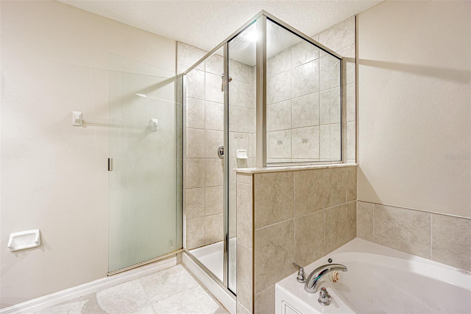 817 ROYAL EMPRESS DR — photo 28