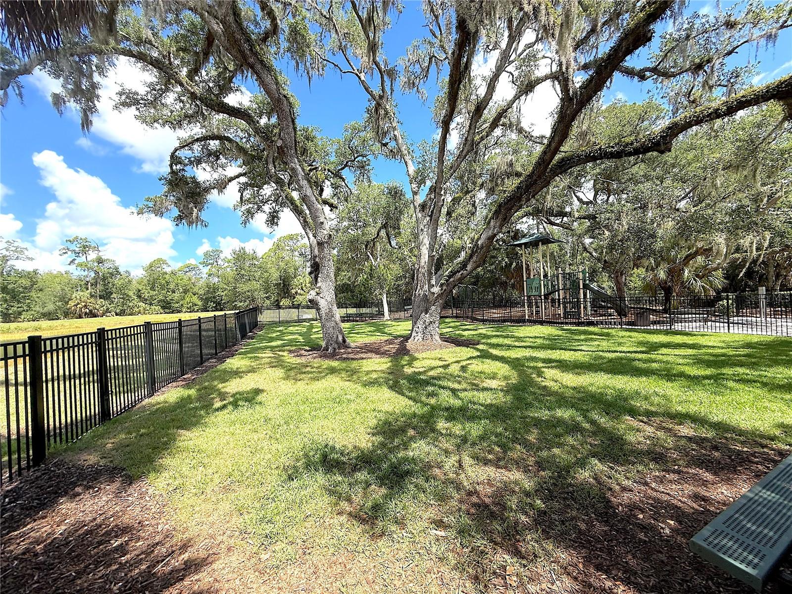 6549 SERENITY FALL LN — photo 21