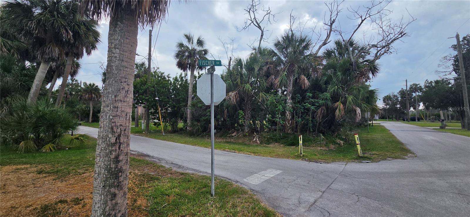 4824 DOWELL DR — photo 8