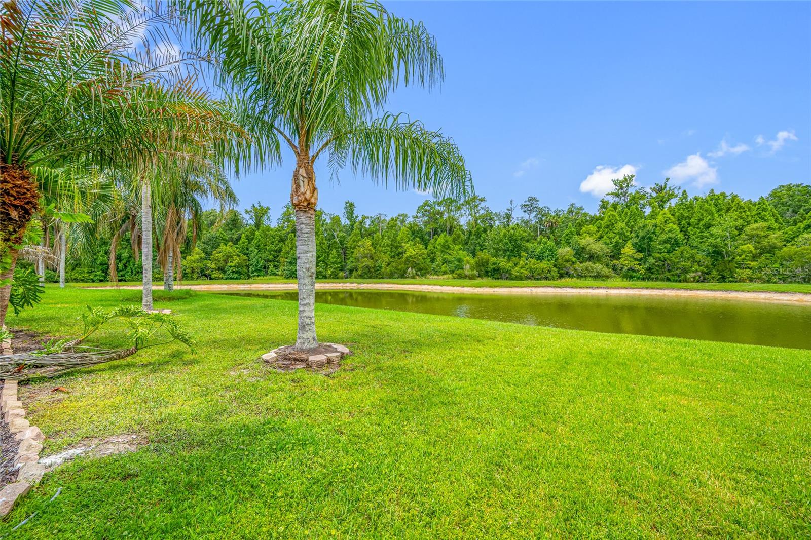 25147 GEDDY DR — photo 72