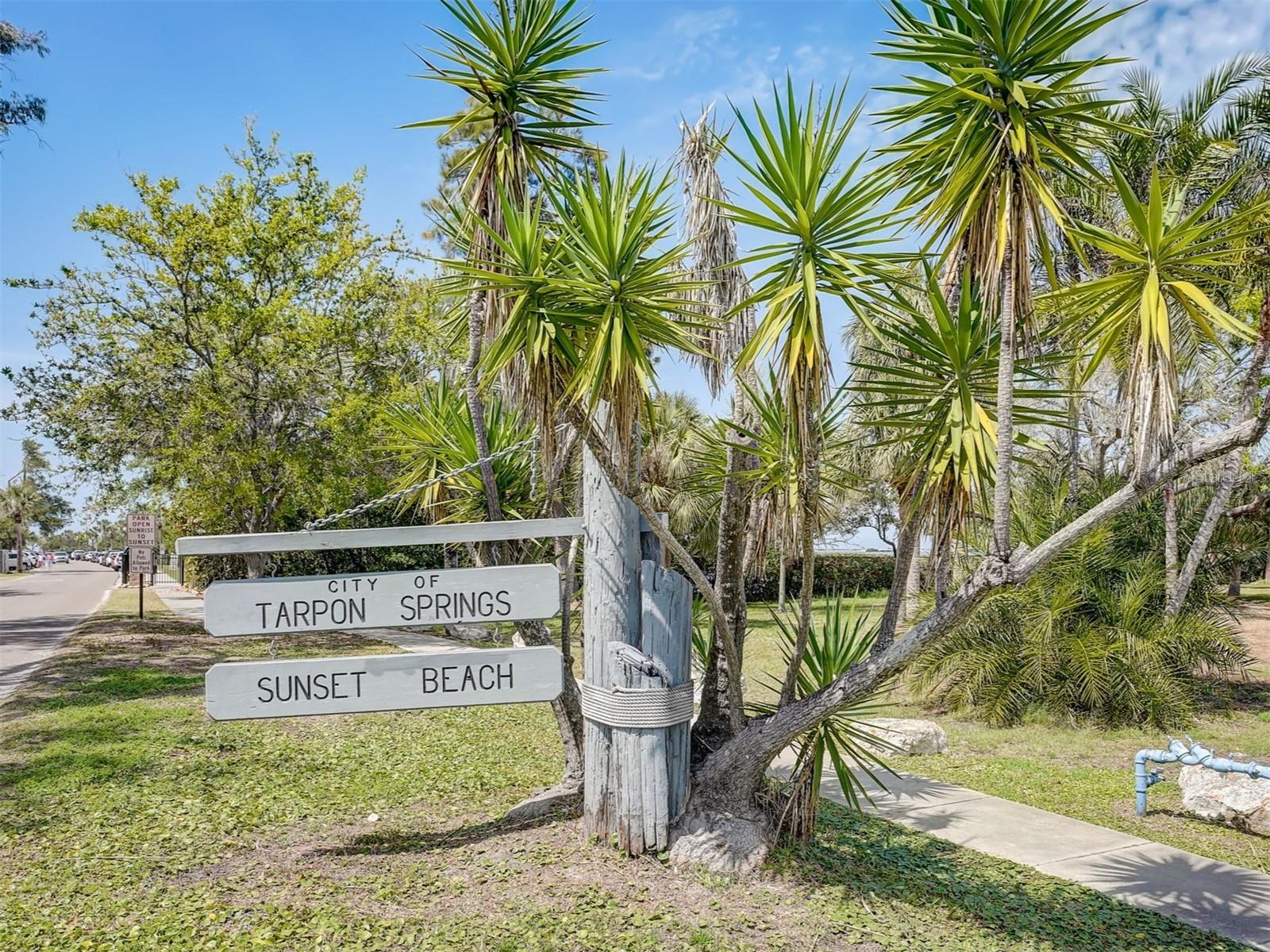 800 CHESAPEAKE DR #55 — photo 44