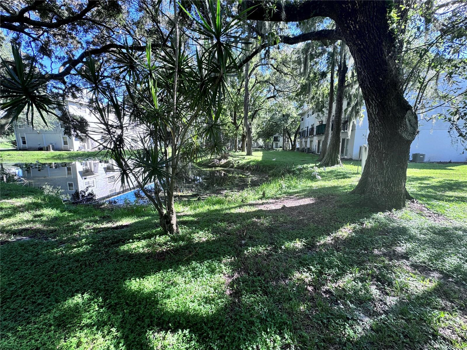 7177 E BANK DR #102 — photo 5