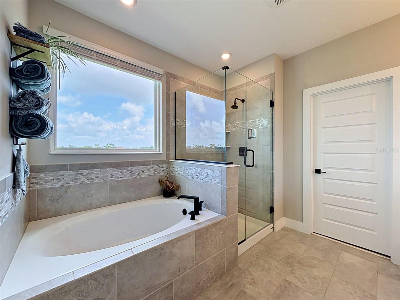 3726 SAVANNA PALMS CT — photo 48