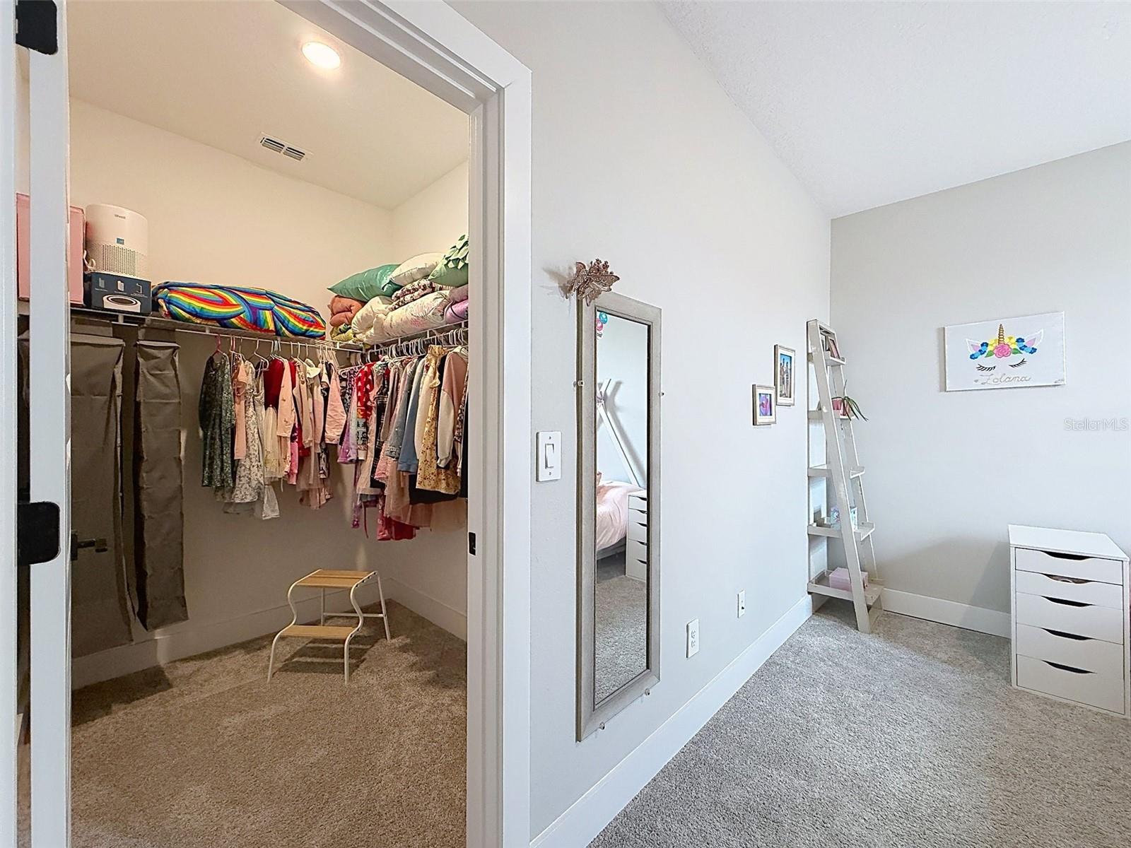 3726 SAVANNA PALMS CT — photo 62