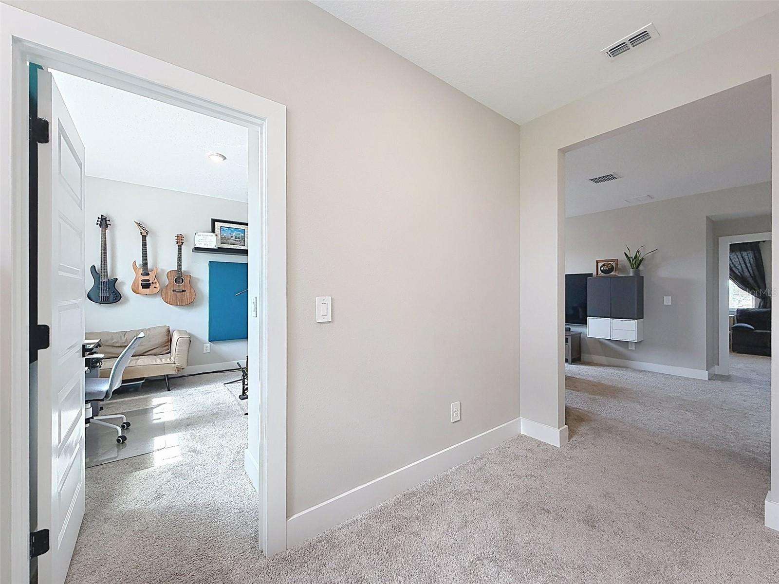 3726 SAVANNA PALMS CT — photo 53