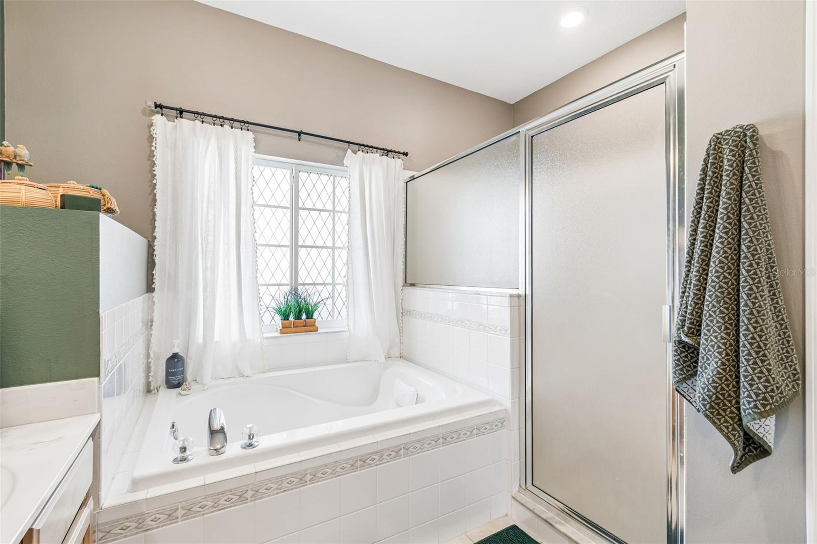 1616 REGAL MIST LOOP — photo 45