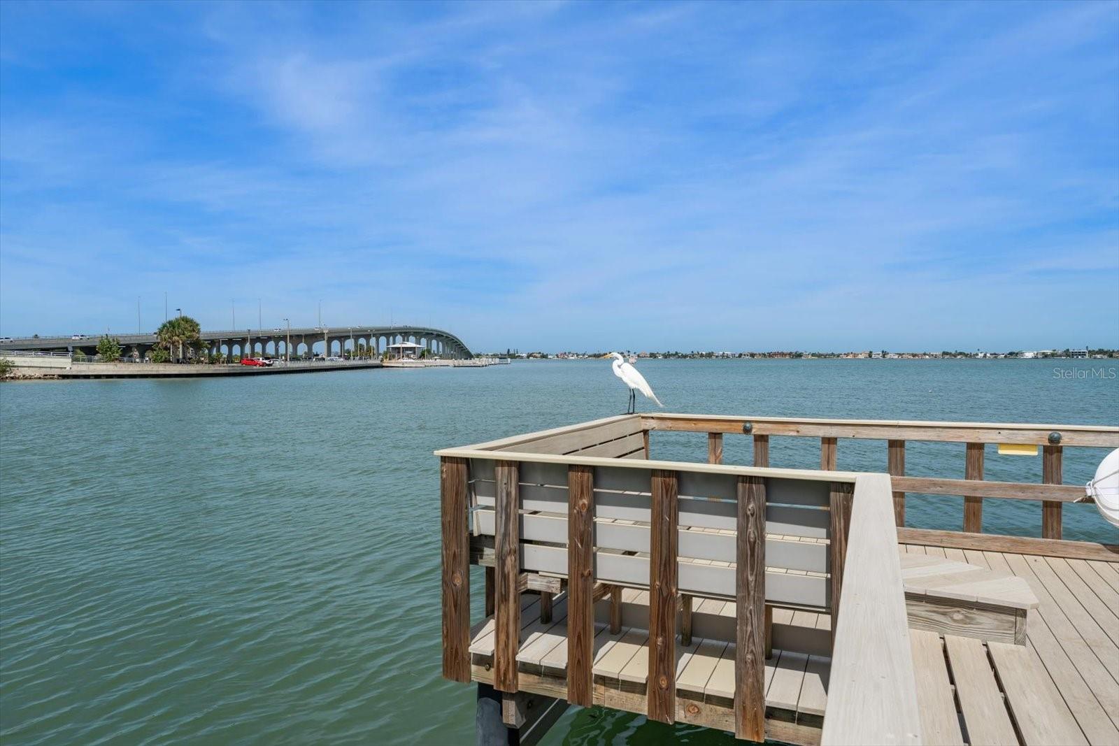 100 BLUFF VIEW DR #506C — photo 36