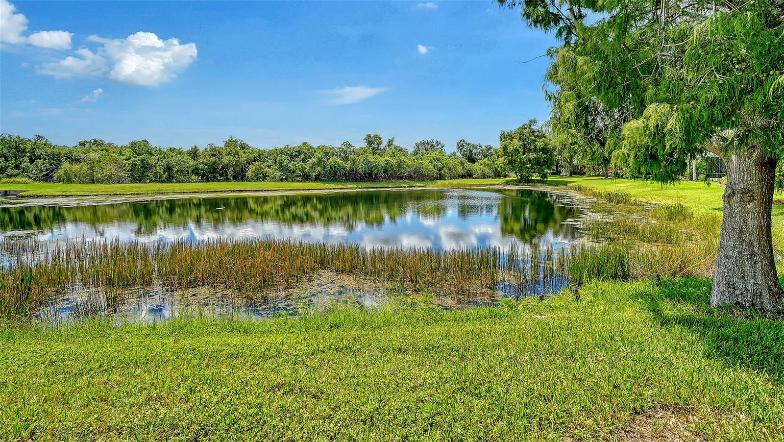 12710 STONE RIDGE PL — photo 88