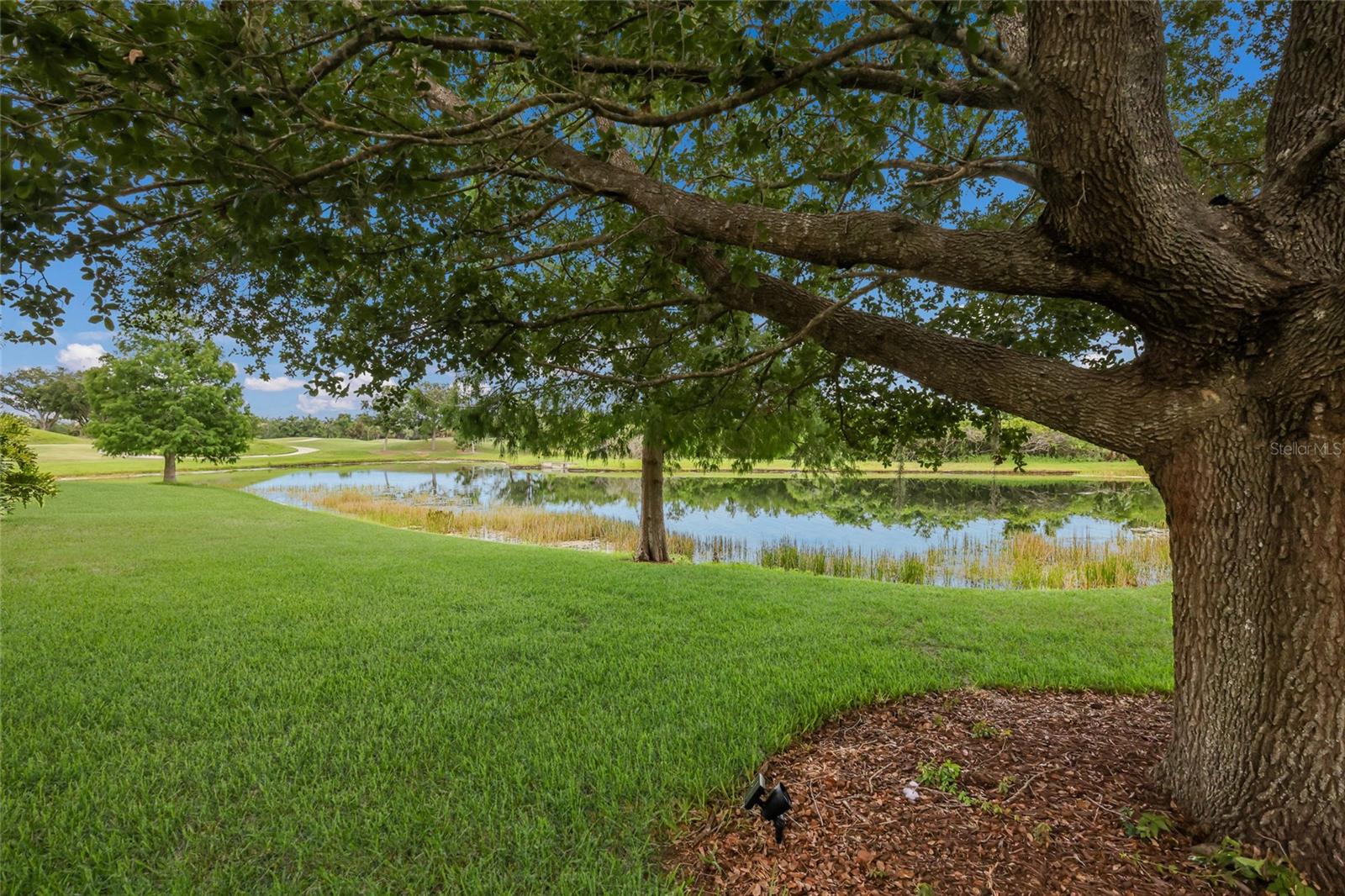 12710 STONE RIDGE PL — photo 75